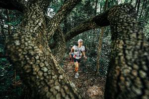 BIB: 
                            <button type="button" onclick="openModal(25392504)" class="btn btn-primary btn-sm float-right btn-popup" data-toggle="modal" data-target=".modal-high-quality">
                        <i class="fas fa-shopping-cart"></i> Add to Cart
                    </button>
                                            <button type="button" onclick="isThisMe(25392504, true)" class="btn btn-success btn-sm float-right btn-popup btn-isme hidden" data-toggle="tooltip" data-placement="bottom" title="นี่คือรูปของคุณใช่ไหม คลิกที่นี่เพื่อเอาเข้าอัลบั้ม">
                        <i class="fas fa-plus"></i> Add to album
                    </button>
                    <button type="button" onclick="isThisMe(25392504, false)" class="btn btn-warning btn-sm float-right btn-popup btn-isnotme hidden">
                        <i class="fas fa-ban"></i> Remove from album
                    </button>